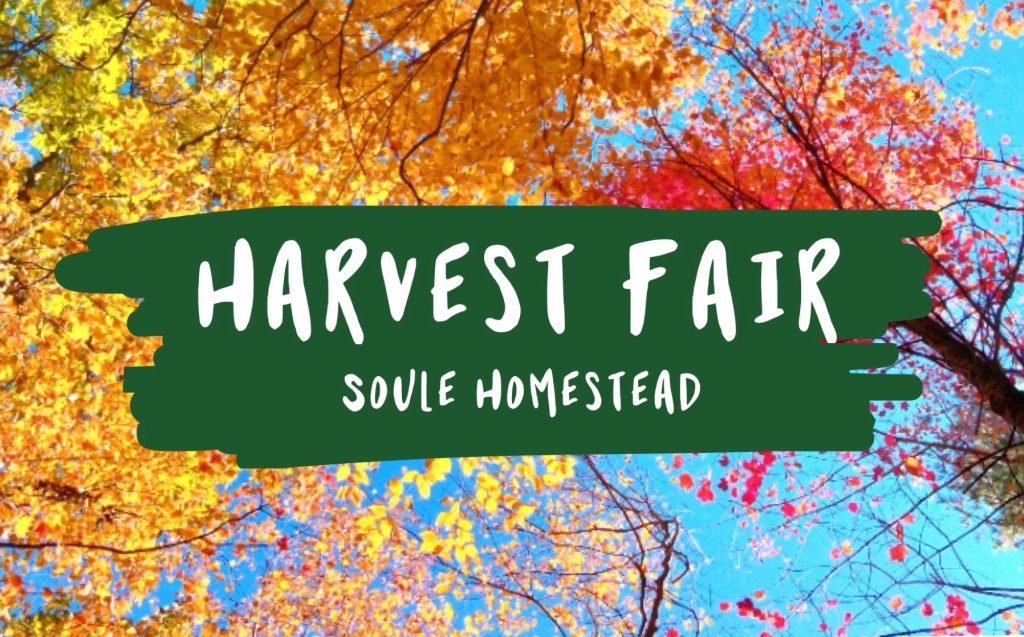 Harvest Fair